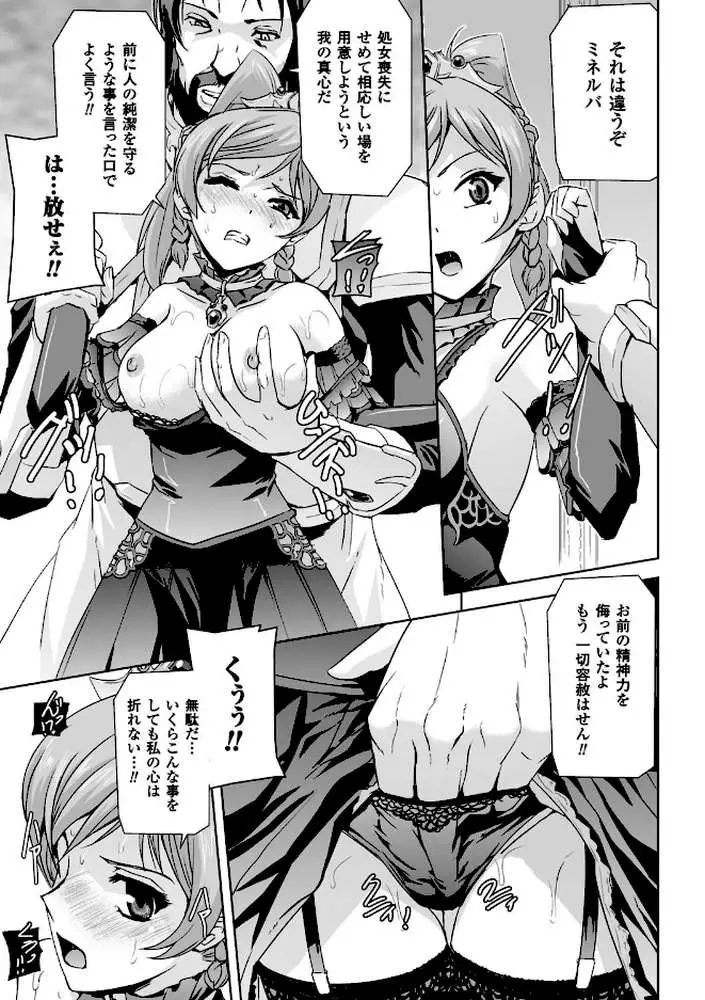 英雄王女 白と黒の狂艶 - ページ14
