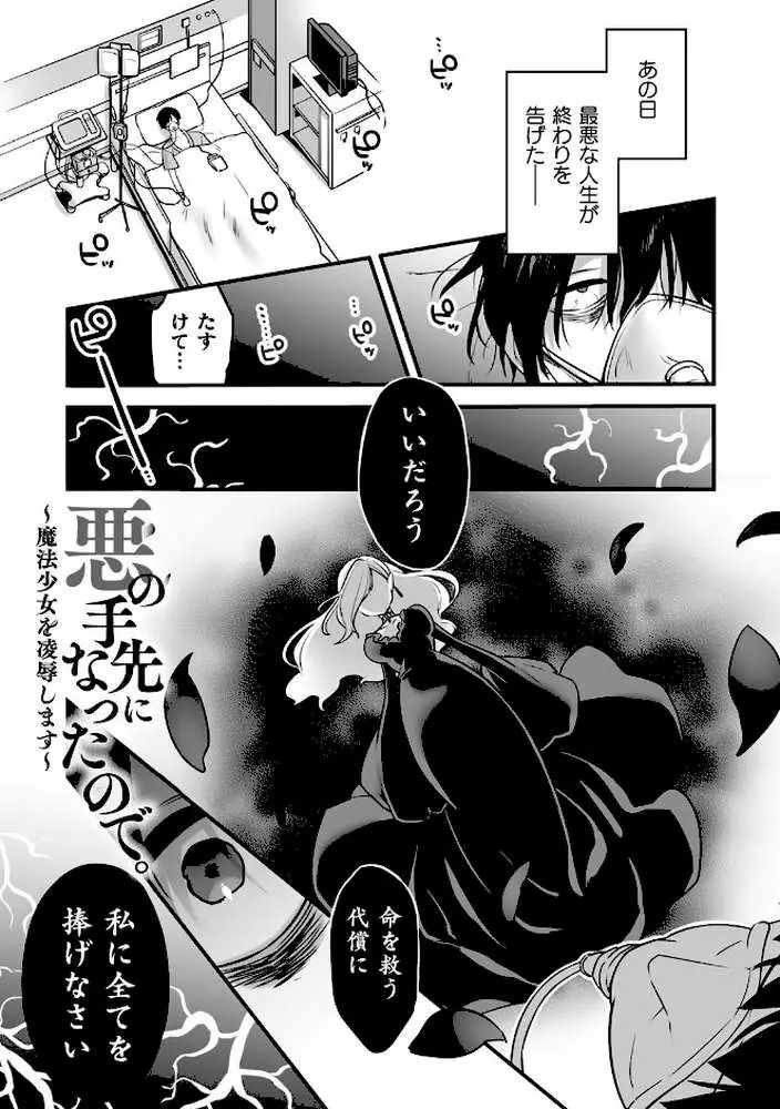 悪の手先になったので。 〜魔法少女を××します〜 THE BOOK - ページ04