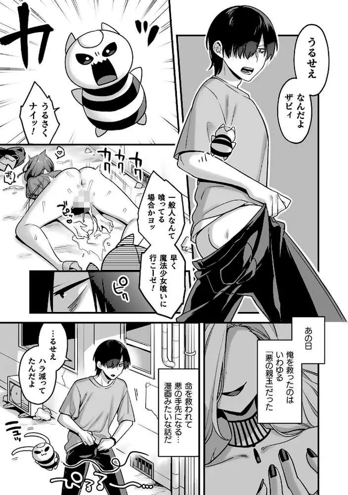悪の手先になったので。 〜魔法少女を××します〜 THE BOOK - ページ06