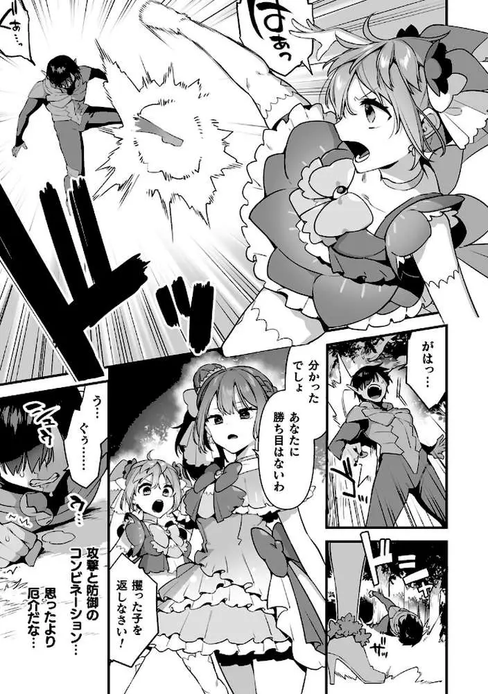 悪の手先になったので。 〜魔法少女を××します〜 THE BOOK - ページ28