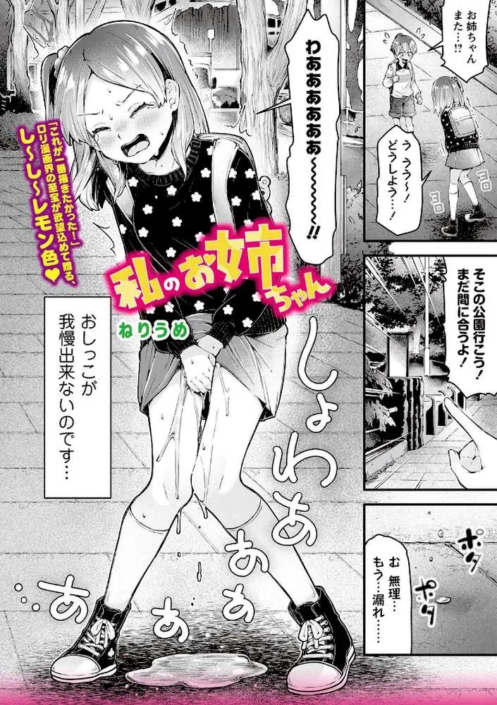 私のお姉ちゃん（単話） - ページ02
