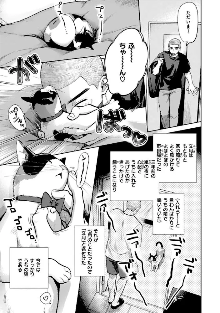 めちゃくちゃになろうよ - ページ33