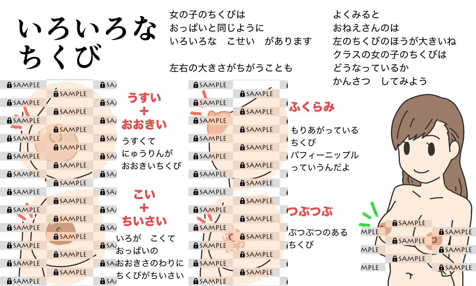 わたしたちのからだ〜こどもができるしくみ〜 - ページ12